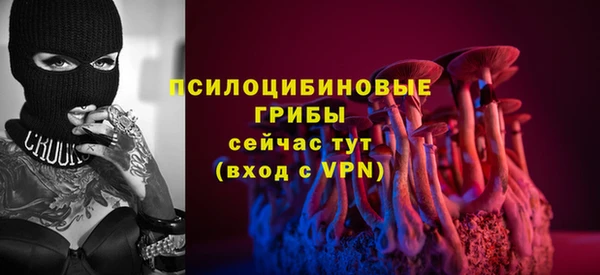 стафф Верхний Тагил