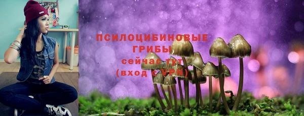 стафф Верхний Тагил