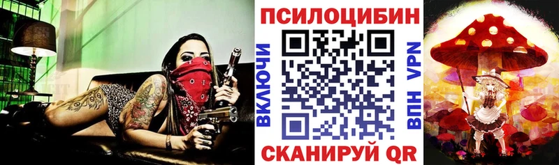 Галлюциногенные грибы Psilocybine cubensis  hydra как зайти  Наволоки  где купить  